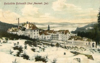 Abbildung von Artikel Nr. P 11014