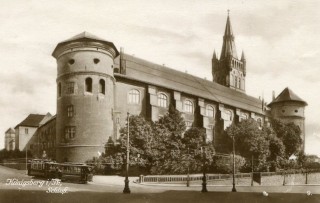 Abbildung von Artikel Nr. P 11030