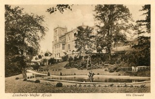 image of article no. P 11048