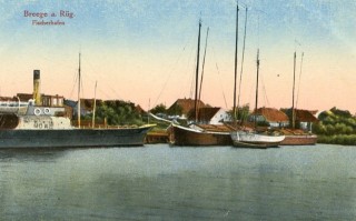 image of article no. P 11069