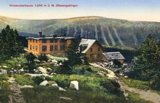 Abbildung von Artikel Nr. P 11070