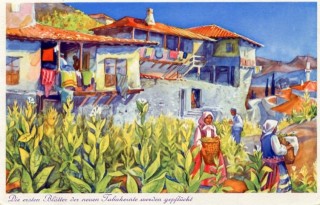 Abbildung von Artikel Nr. P 11079