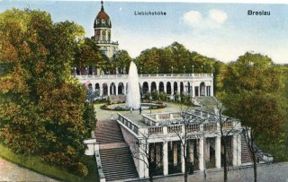 Abbildung von Artikel Nr. P 11094