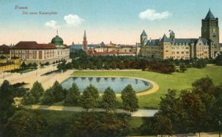 Abbildung von Artikel Nr. P 11095