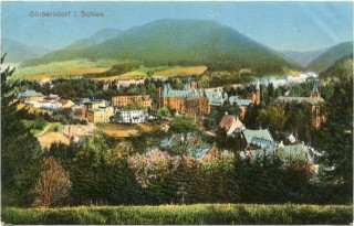 Abbildung von Artikel Nr. P 11181