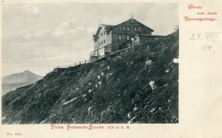 image of article no. P 11184