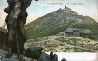 image of article no. P 11188