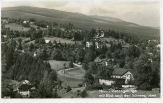 Abbildung von Artikel Nr. P 11203