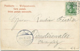 image of the back side of article no. P 11233