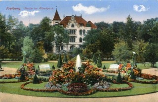 Abbildung von Artikel Nr. P 11285