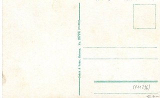 Abbildung der R&uuml;ckseite von Artikel Nr. P 11296