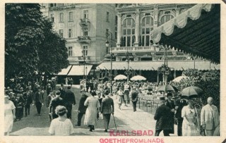 image of article no. P 11305