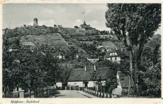 Abbildung von Artikel Nr. P 11311