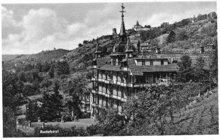 Abbildung von Artikel Nr. P 11312