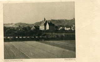 Abbildung von Artikel Nr. P 11313