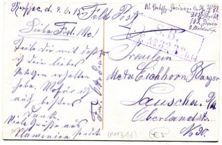 Abbildung der Rückseite von Artikel Nr. P 11316