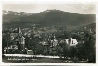 image of article no. P 11345