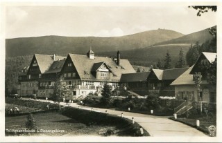 image of article no. P 11347