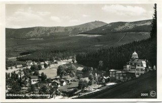 image of article no. P 11348