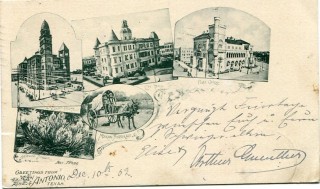 Abbildung von Artikel Nr. P 1134