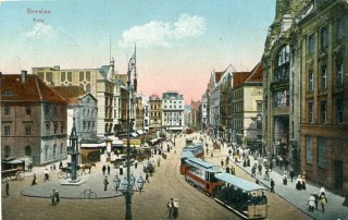 Abbildung von Artikel Nr. P 11392