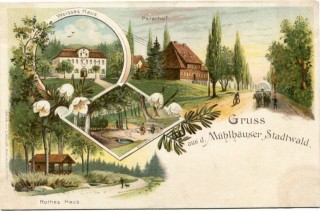 image of article no. P 11401