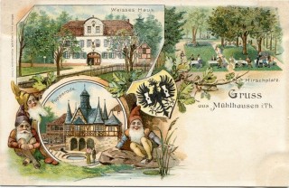 image of article no. P 11422