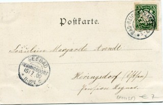 image of the back side of article no. P 11438