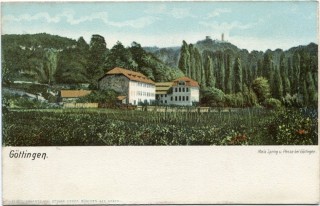 Abbildung von Artikel Nr. P 11442