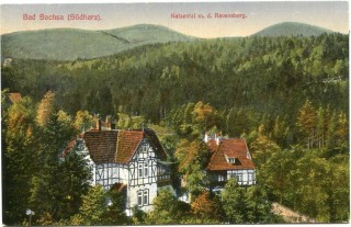 Abbildung von Artikel Nr. P 11458