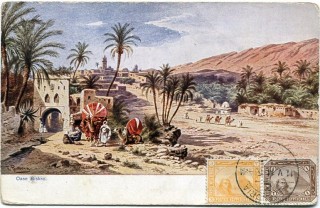 image of article no. P 11535