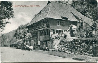 Abbildung von Artikel Nr. P 11565