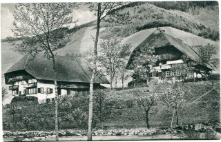 Abbildung von Artikel Nr. P 11567