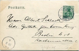 image of the back side of article no. P 11592