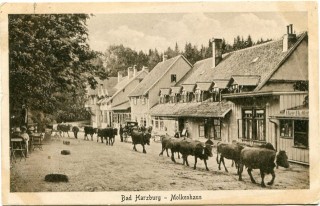 image of article no. P 11636