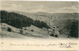 Abbildung von Artikel Nr. P 11637