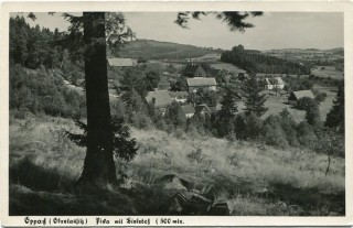 image of article no. P 11698