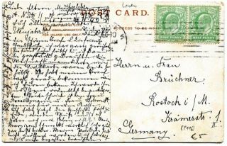 image of the back side of article no. P 116