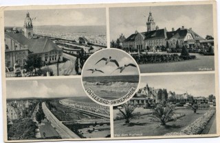 Abbildung von Artikel Nr. P 11715