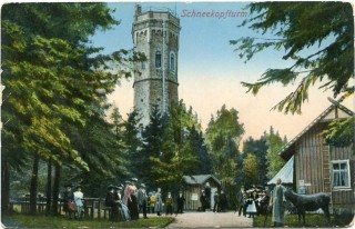 Abbildung von Artikel Nr. P 11757