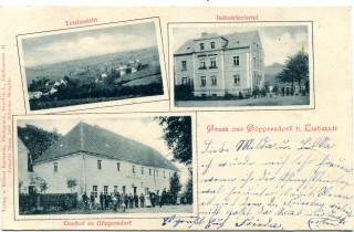 Abbildung von Artikel Nr. P 11813