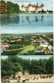 image of article no. P 11825