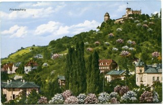 image of article no. P 11831