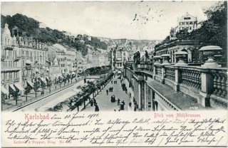 image of article no. P 11910