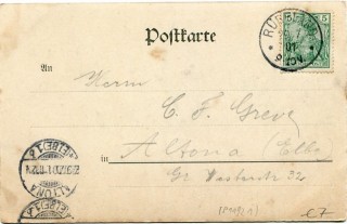 image of the back side of article no. P 11921