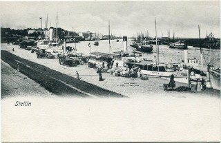 image of article no. P 11928