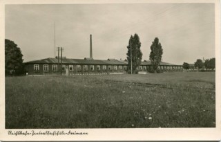 Abbildung von Artikel Nr. P 11937