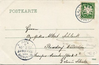 image of the back side of article no. P 11956