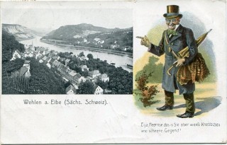 image of article no. P 11980