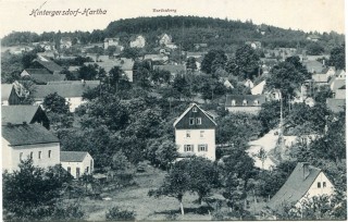 image of article no. P 11981